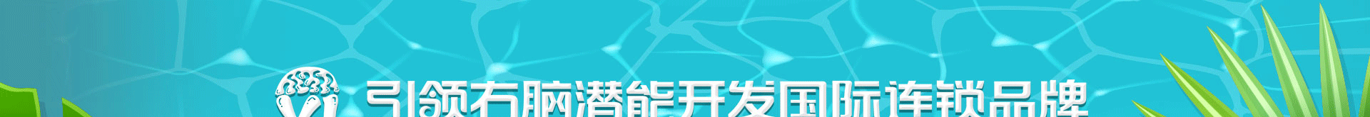 引领右脑加盟培训
