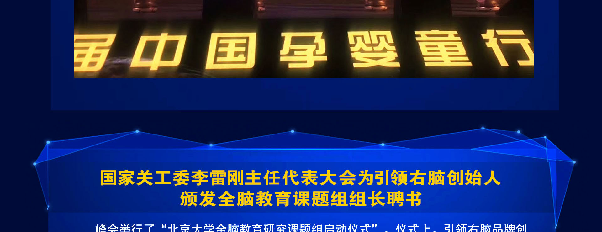 全脑开发培训