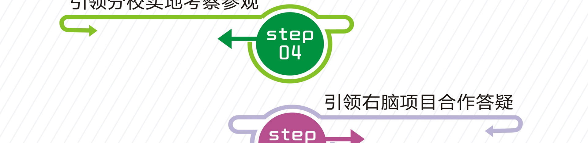 全脑加盟项目