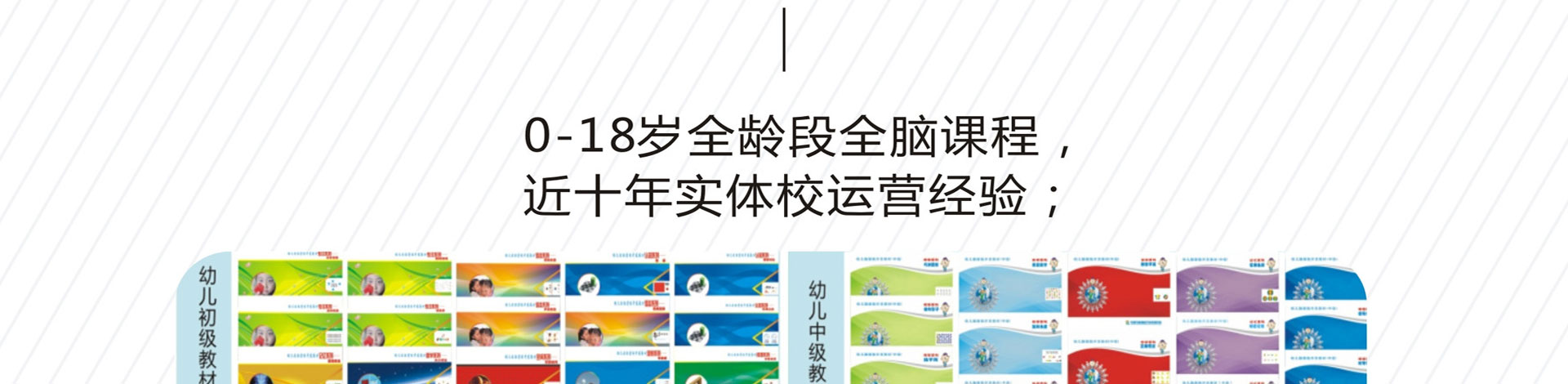 全脑加盟机构