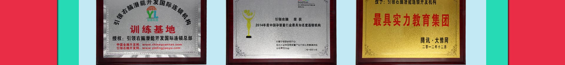 左右脑加盟机构