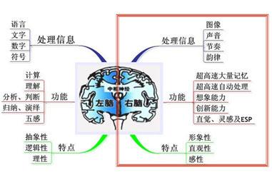 右脑照相记忆