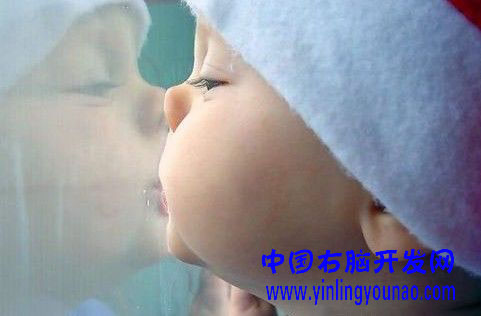 全脑师资培训