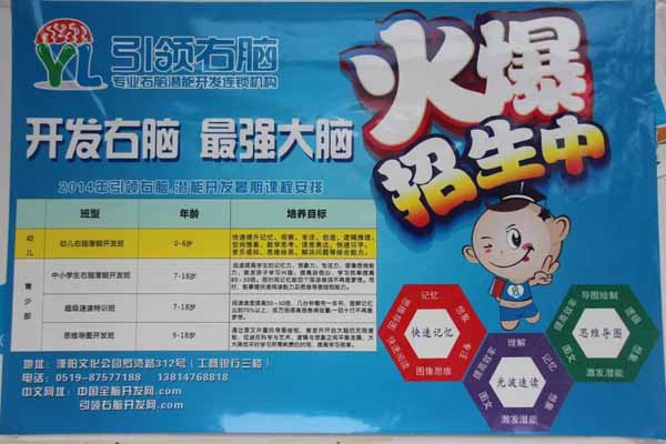 引领右脑加盟