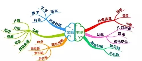 引领右脑