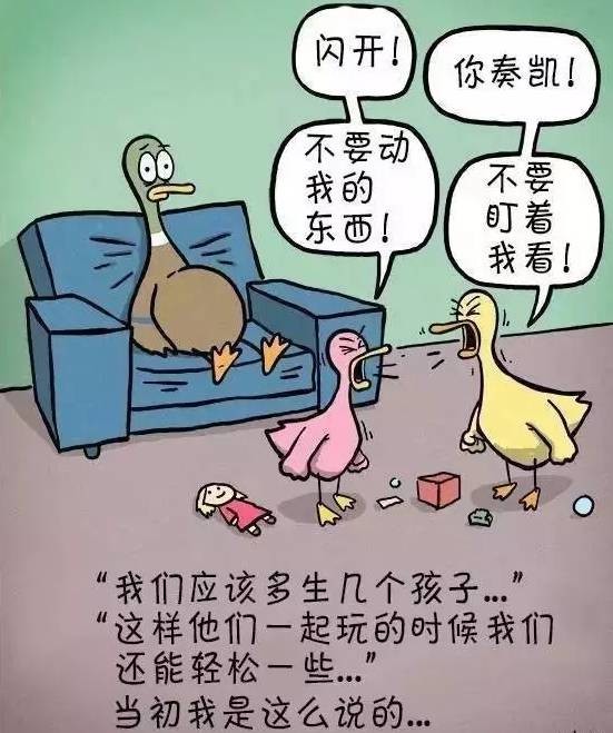 引领右脑