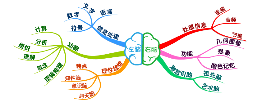 引领右脑