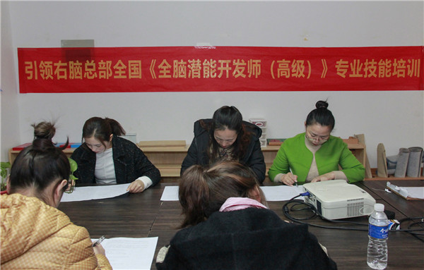 全脑潜能开发师